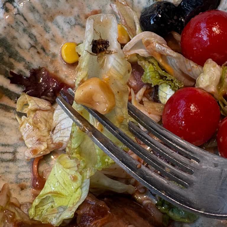 Tavuk Dünyası Şefin Salatasında Böcek Sürprizi Ve İlgisiz Tavır
