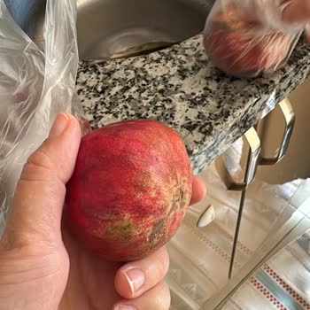 Bozuk Sebze Ve Meyve Teslimatı Sonrası Yetersiz Çözüm