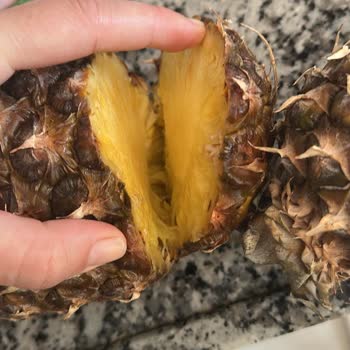 Bozuk Sebze Ve Meyve Teslimatı Sonrası Yetersiz Çözüm