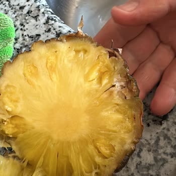 Bozuk Sebze Ve Meyve Teslimatı Sonrası Yetersiz Çözüm