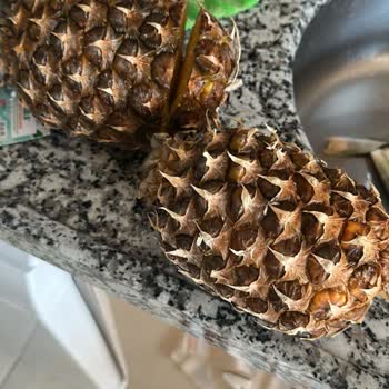 Bozuk Sebze Ve Meyve Teslimatı Sonrası Yetersiz Çözüm