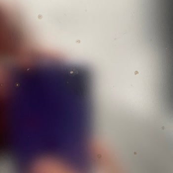 Paslanmaz Çelik Bulaşık Makinesinde 1 Yılda Paslanma Ve Garanti Sorunu