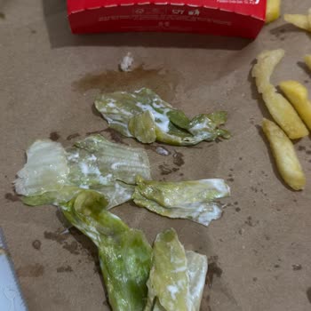 Burger King Siparişlerinde Sürekli Tekrarlanan Marul Sorunu