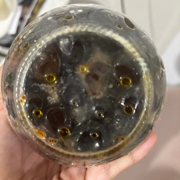 Şok Marketten Gelen Bozuk Zeytin Ve Müşteri Hizmetlerine Ulaşamama Sorunu