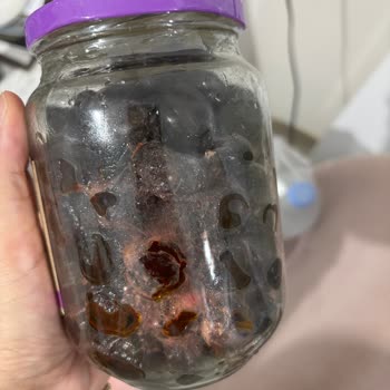 Şok Marketten Gelen Bozuk Zeytin Ve Müşteri Hizmetlerine Ulaşamama Sorunu