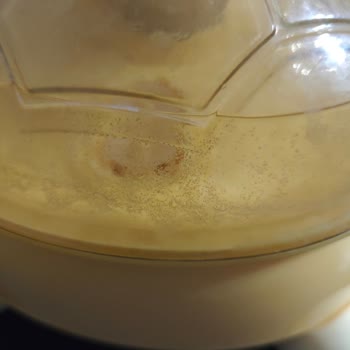 Auran Okaliptüs Yağı, Nemlendirici Cihazımda Hasara Yol Açtı