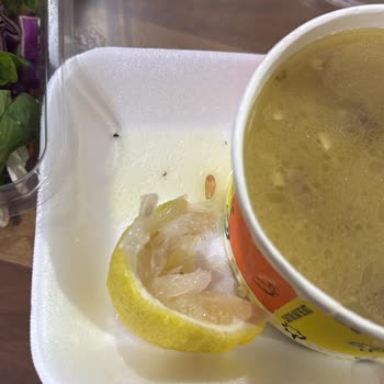 Siparişimde Böcek Çıktı, Yetersiz İade Teklifiyle Karşılaştım