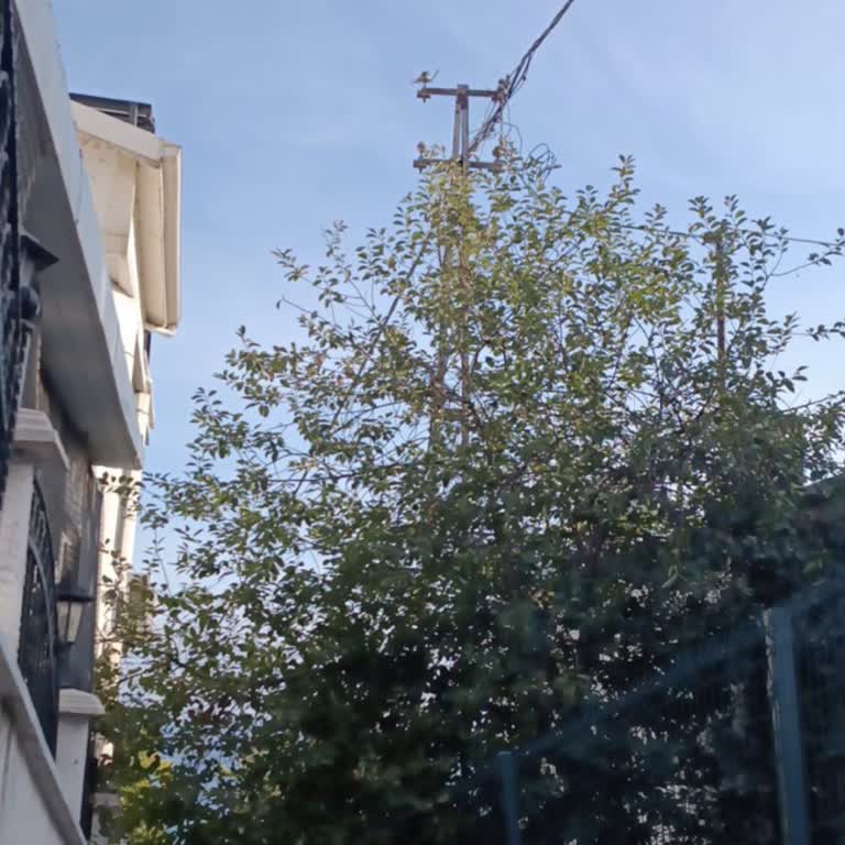 Bedaş Büyükçekmece'de Sahil Merdivenlerinde Uzun Süredir Devam Eden Aydınlatma Sorunu