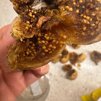 Aldığım İncirlerin Neredeyse Tamamı Kurtlu Çıktı, Mağdur Edildim