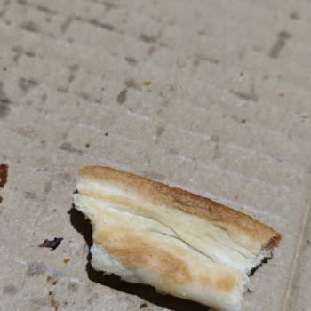 Migros Pizza İçinden Kıl Çıktı: Hijyen Ve Sağlık Riski