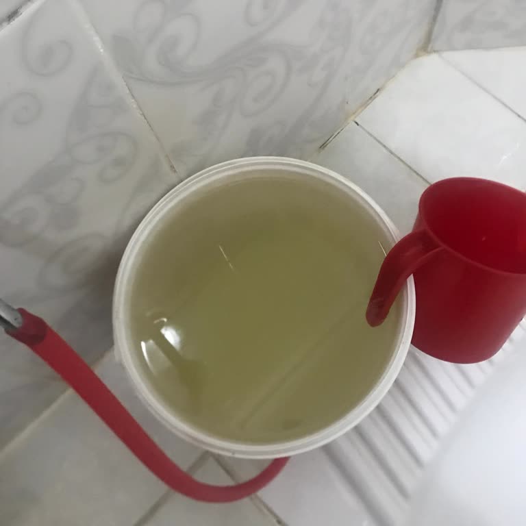 Evdeki Suda Yoğun Balık Kokusu Ve Renk Değişimi Günlük Yaşamı Olumsuz Etkiliyor