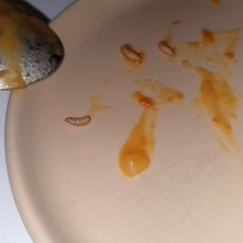 Barbunya Konservesinden Kurt Çıktı, Sağlığımız Riske Girdi Ve Yemeğimiz Ziyan Oldu