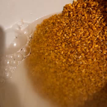 Son Kullanma Tarihi Geçmemiş Bulgurda Böcek Çıkması Mağduriyet Yarattı