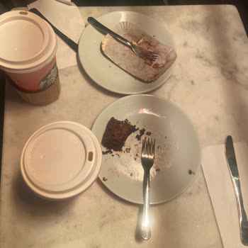 Kapalı Kahvede Sinek Çıkması Ve İlgisiz Yaklaşım