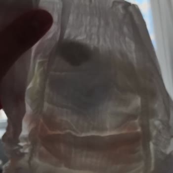 Molfix Bezde Sert Cisim