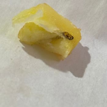 Siparişimde Kızarmış Kurt Çıkması Şokunu Yaşadım!