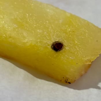 Siparişimde Kızarmış Kurt Çıkması Şokunu Yaşadım!