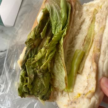 Küflü Sandviç Ve İlgisiz Personel, Sağlık Riski!