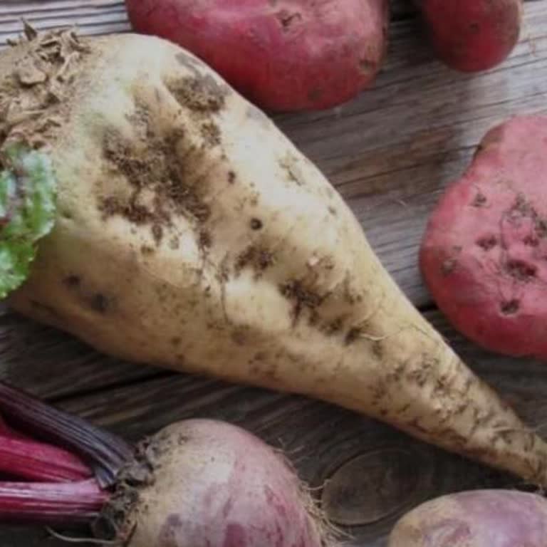 Burdur Şeker Fabrikası'nın Geç Açılan Kantarları Çiftçiyi Mağdur Ediyor