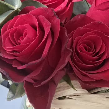 Çiçek Sepeti'nden Kalitesiz Ürün Ve İlgisiz Müşteri Hizmeti