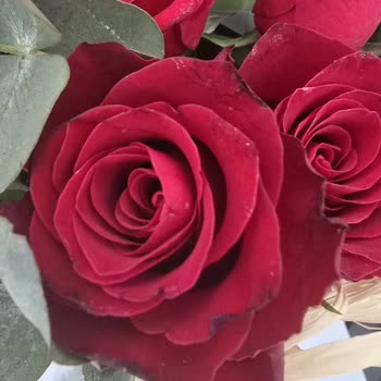 Çiçek Sepeti'nden Kalitesiz Ürün Ve İlgisiz Müşteri Hizmeti