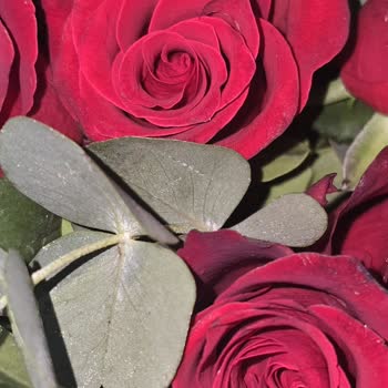 Çiçek Sepeti'nden Kalitesiz Ürün Ve İlgisiz Müşteri Hizmeti