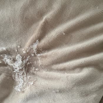 Yataş Kusurlu Ve Kalitesiz Evcil Hayvan Yatağı Nedeniyle Endişe