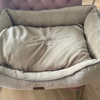 Yataş Kusurlu Ve Kalitesiz Evcil Hayvan Yatağı Nedeniyle Endişe