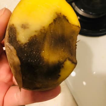 Migros Sanal Marketten Gelen Bozuk Ürünler Nedeniyle Yaşanan Mağduriyet