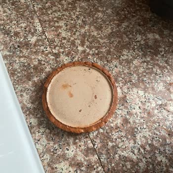 Teslim Edilen Çiçeğin Saksısı Kırık Çıktı, Müşteri Hizmetleri Çözüm Sunmadı