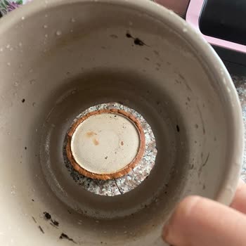 Teslim Edilen Çiçeğin Saksısı Kırık Çıktı, Müşteri Hizmetleri Çözüm Sunmadı