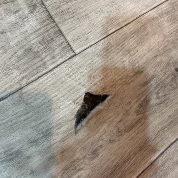 Gist Mimarlık Ve Fuar Tasarım Verdiği Hizmetin Arkasında Durmadı Ve Hiçbir Sorumluluk Almadı