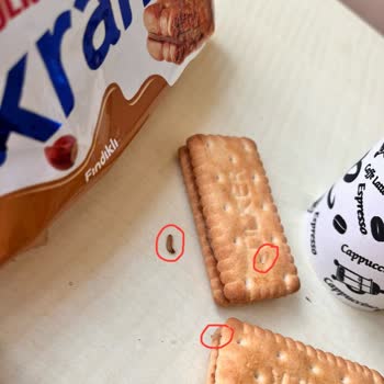 Ülker İkram Bisküviden Kurt Çıktı!