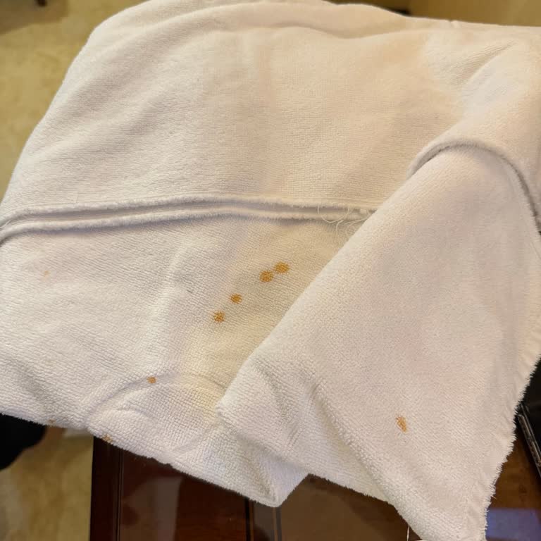 Ottoman's Life Deluxe Hotel (Fatih) Hijyen Sorunu