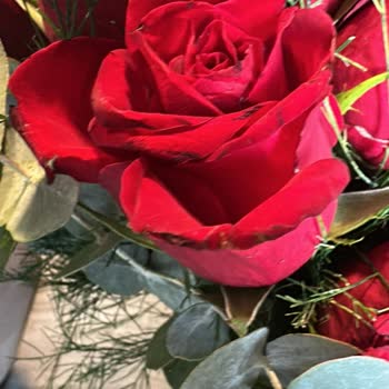 Taze Çiçek'ten Bayat Ürün Ve Yetersiz Müşteri Hizmeti Deneyimi