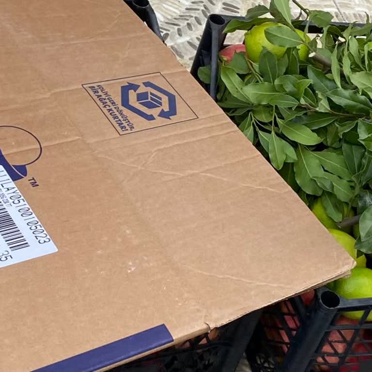 UPS Türkiye Ortaca Şubesinde Kaba Davranış Ve Hizmet Eksikliği Nedeniyle Mağduriyet