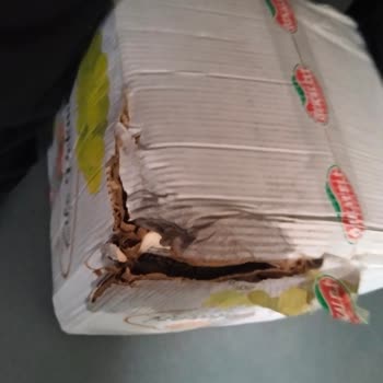 DHL E Commerce Teslimatında Hasarlı Paket Ve Yetersiz Müşteri Hizmeti