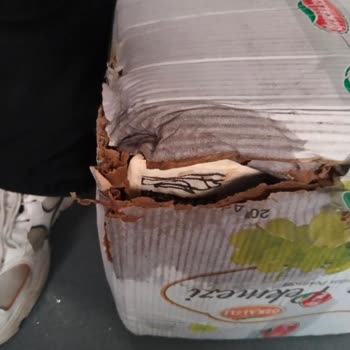 DHL E Commerce Teslimatında Hasarlı Paket Ve Yetersiz Müşteri Hizmeti