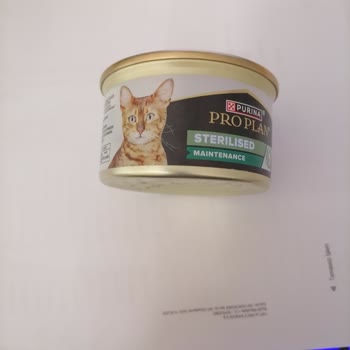 Bozuk Kedi Maması Sonrası Kusma Ve Yetersiz Müşteri Hizmeti