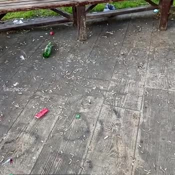 Samsun Tekkeköy Belediyesi Kaykay Parkı Sürekli Çöp İçerisinde!