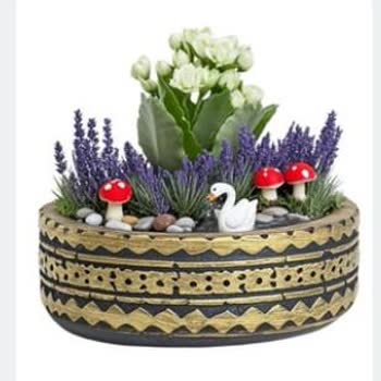 Sipariş Edilen Teraryumun Görseldeki Ürünle Uyuşmaması Ve Eksik Gönderim