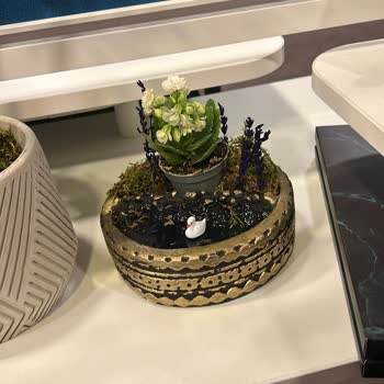 Sipariş Edilen Teraryumun Görseldeki Ürünle Uyuşmaması Ve Eksik Gönderim