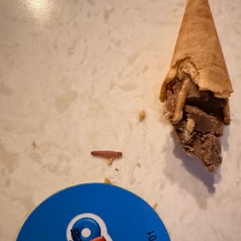 Çocuğumun Yediği Üründe Kurtçuk Buldum Gıda Güvenliği Endişesi Yaşıyorum