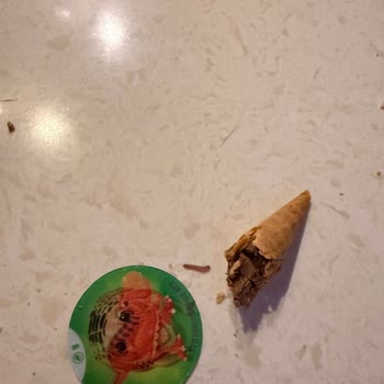 Çocuğumun Yediği Üründe Kurtçuk Buldum Gıda Güvenliği Endişesi Yaşıyorum