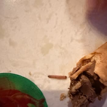 Çocuğumun Yediği Üründe Kurtçuk Buldum Gıda Güvenliği Endişesi Yaşıyorum