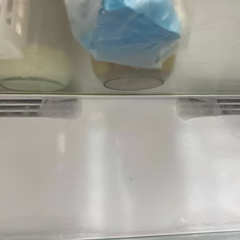 Vestel Buzdolabında Süregelen Buzlanma Sorunu Ve Yetersiz Servis Desteği