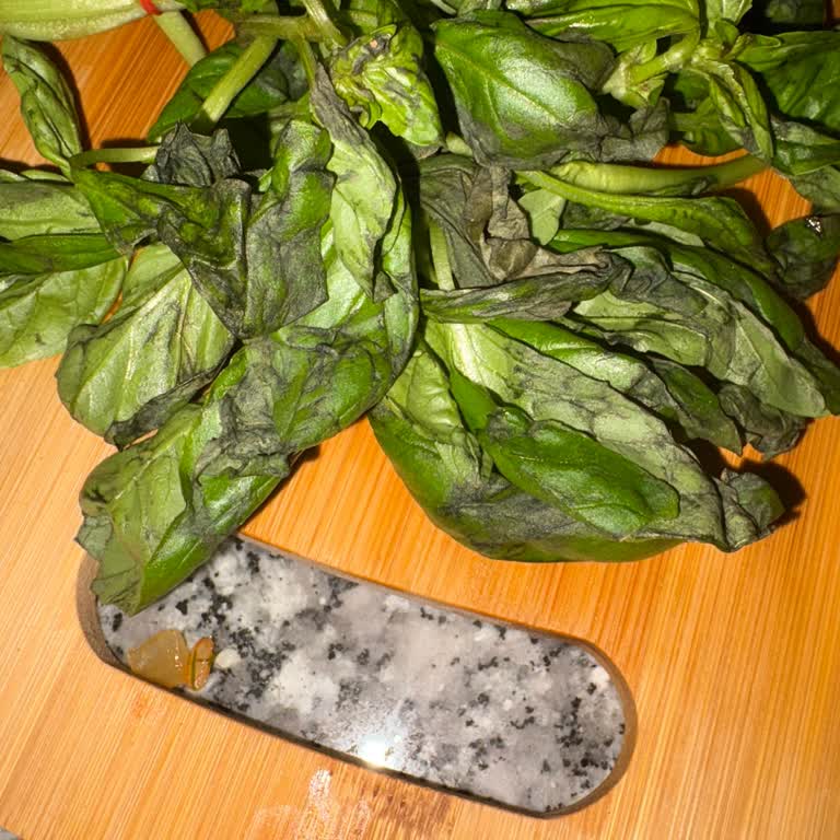 Getir'den Teslim Edilen Fesleğen Bozuk Ve Solmuş Çıktı, Çözüm Sunulmadı