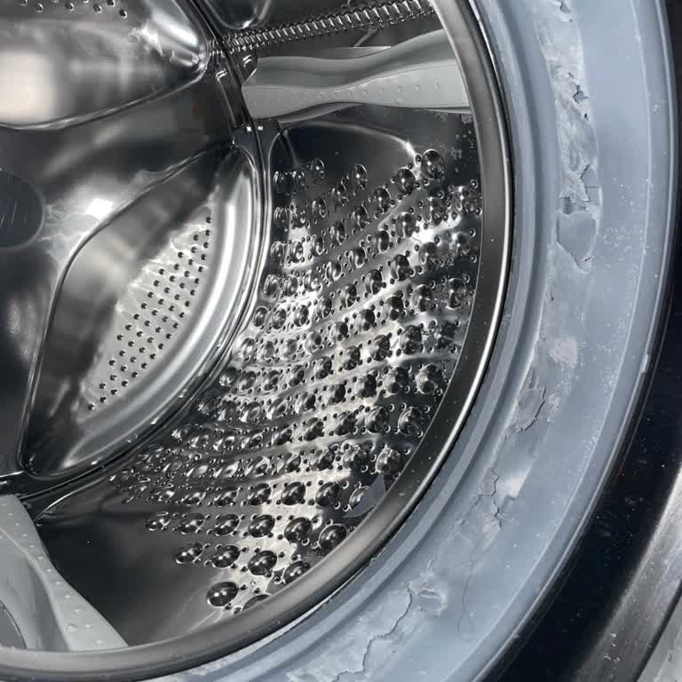 3 Aylık Çamaşır Makinesinde Parçalanan Körük Lastiği Ve Garanti Mağduriyeti