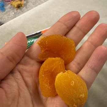 Beklentileri Karşılamayan Kuru Kayısı Deneyimi