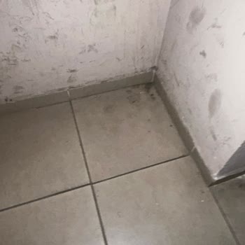 Ortak Alan Temizliği Yapılmıyor, Yönetimden Somut Çözüm Bekliyorum